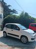 fiat-panda-0-9-nat-power-x-commercianti-2016