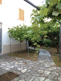 Appartamento libero a settembre