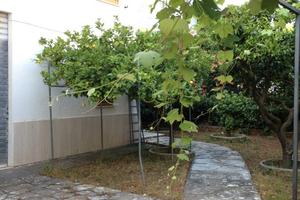 Appartamento libero a settembre