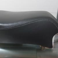 sella posteriore sportster
