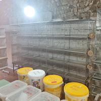 batteria cova voliere 90 cm