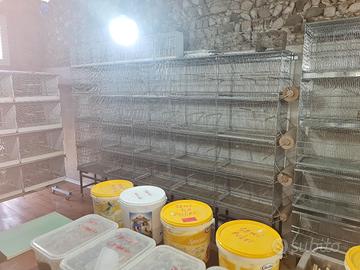 batteria cova voliere 90 cm