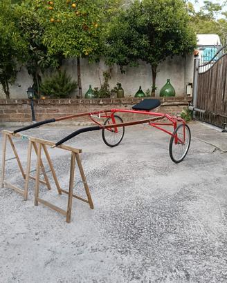 sulky in legno d'epoca  Per Cavallo 