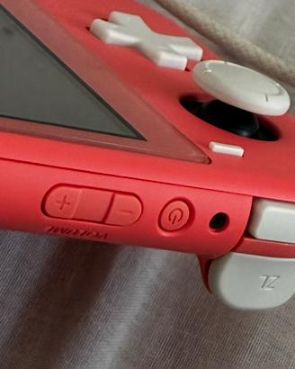 Nintendo switch lite