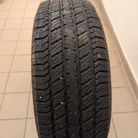 Treno di gomme estive SUV 