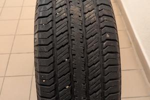 Treno di gomme estive SUV 