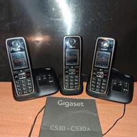 telefoni cordless  Siemens Gigaset C530