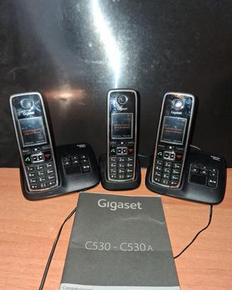 telefoni cordless  Siemens Gigaset C530