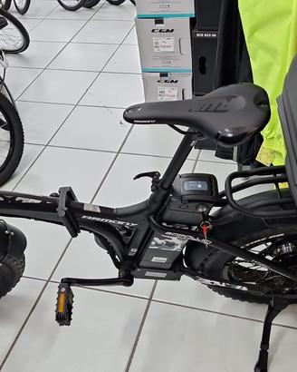Biciclette elettrica