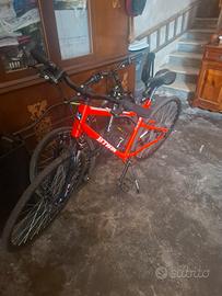 bicicletta ammortizzata 