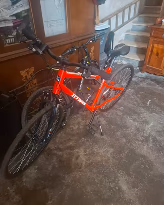 bicicletta ammortizzata 