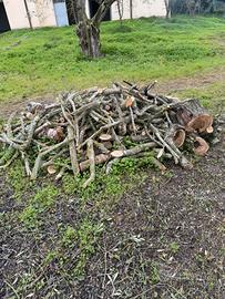 Legna da ardere. Ulivo, alloro e legna varia