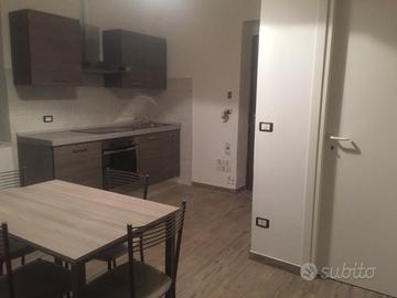 Monolocale arredato - no spese condominiali