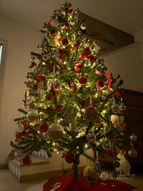 Albero natale