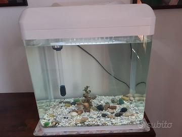 Acquario in vetro curvato 30lt TUTTO INCLUSO
