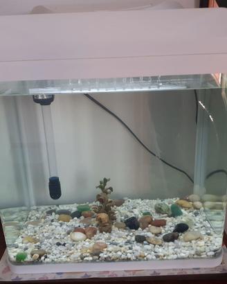 Acquario in vetro curvato 30lt TUTTO INCLUSO