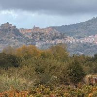 Terreno - Castiglione di Sicilia