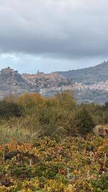 Terreno - Castiglione di Sicilia