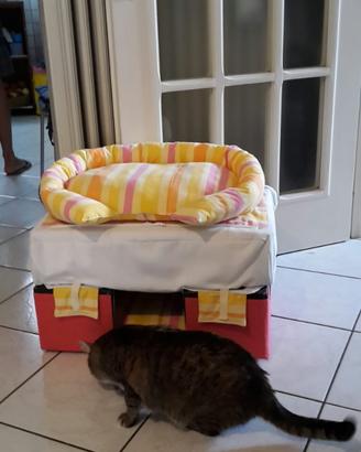 Cuccia per gatto , o cane piccole dimensioni, new