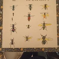 dischi jazz e  rock 33 giri in vinile 