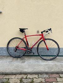 Specialized allez comp