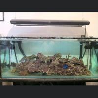 Plafoniera HQI Gieseman