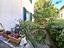 Immagine 20