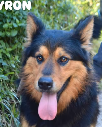 Byron due anni
