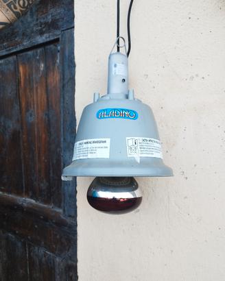 lampada e porta lampada
