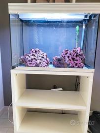 ACQUARIO
