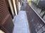 Immagine 12