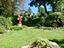 Immagine 16