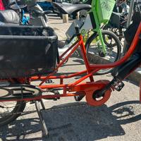 Bici elettrica