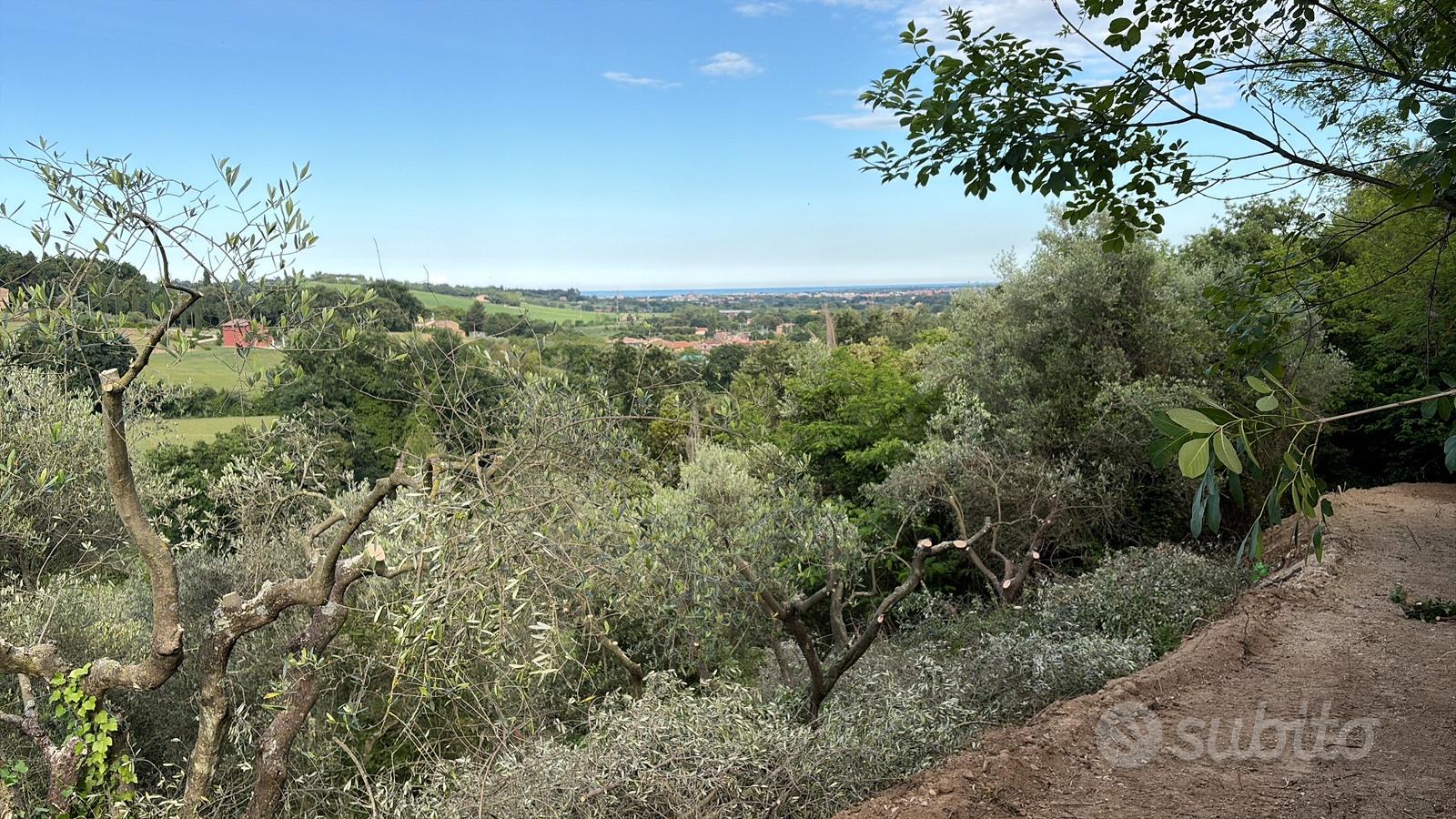 Terreno agricolo con acqua e luce - Vista 5