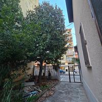 Legna. albero gratis 