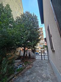 Legna. albero gratis 