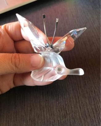 Farfalla Swarovski