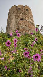 Estate in Ogliastra tutti al mare