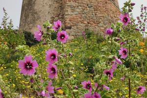 Estate in Ogliastra tutti al mare