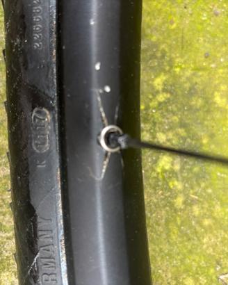 Ruote mtb 29  non boost