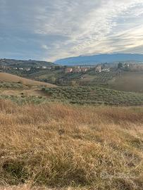 Terreno Brecciarola