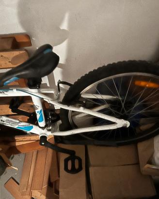 Bicicletta bambino
