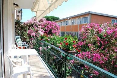 Autunno e Inverno a Celle Ligure