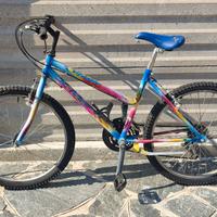 Mountain bike da ragazz*
