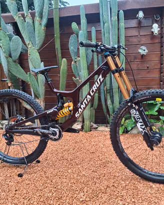 santa cruz v10 cc