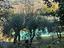 Immagine 14