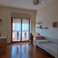 Stanza singola per studentessa TorVergata