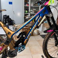 norco aurum hsp c1