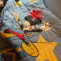 Trapunta singola caleffi motivo mickey rock