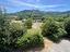 Immagine 29